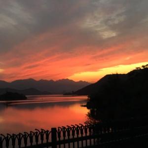 大香线蕉手机视频
